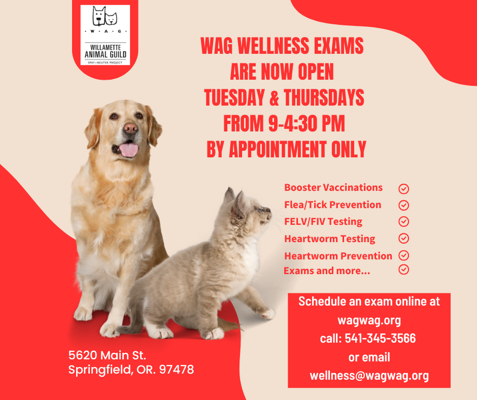 WAG Wellness Exam open image in red